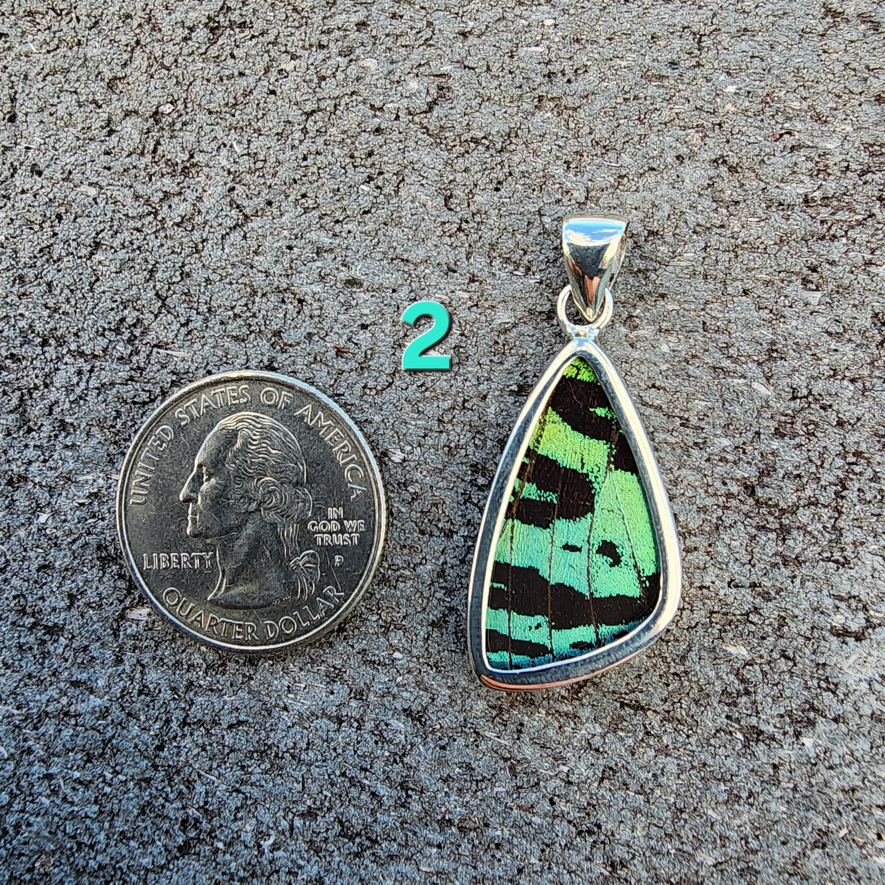 Butterfly Pendants - SM