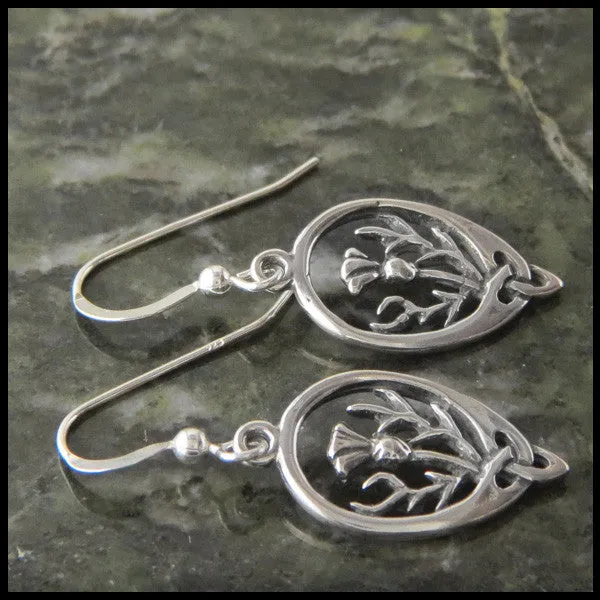 Scottish Thistle Earrings in Silver
