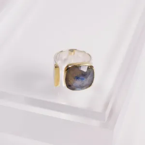 Selma Gold and Silver Labradorite Ring - Joya
